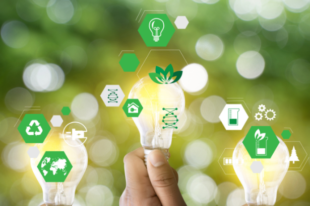 Elias Assum Sabbag Junior analisa como a transição energética no ramo plástico pode impulsionar a eficiência produtiva e a competitividade das indústrias.